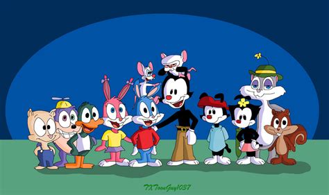 animaniacs and tiny toons|tiny toons toon tv.